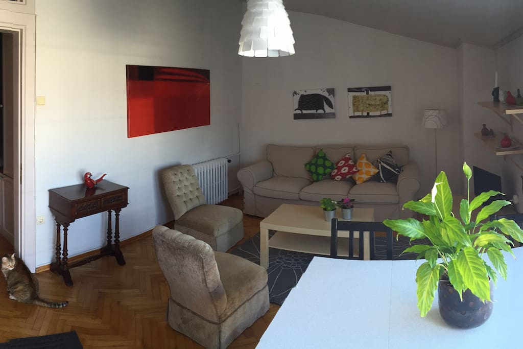 Livingroom and kitchen