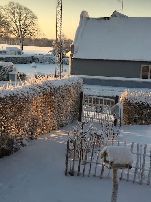 Min forhave i sne.