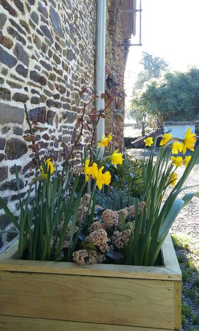 Spring