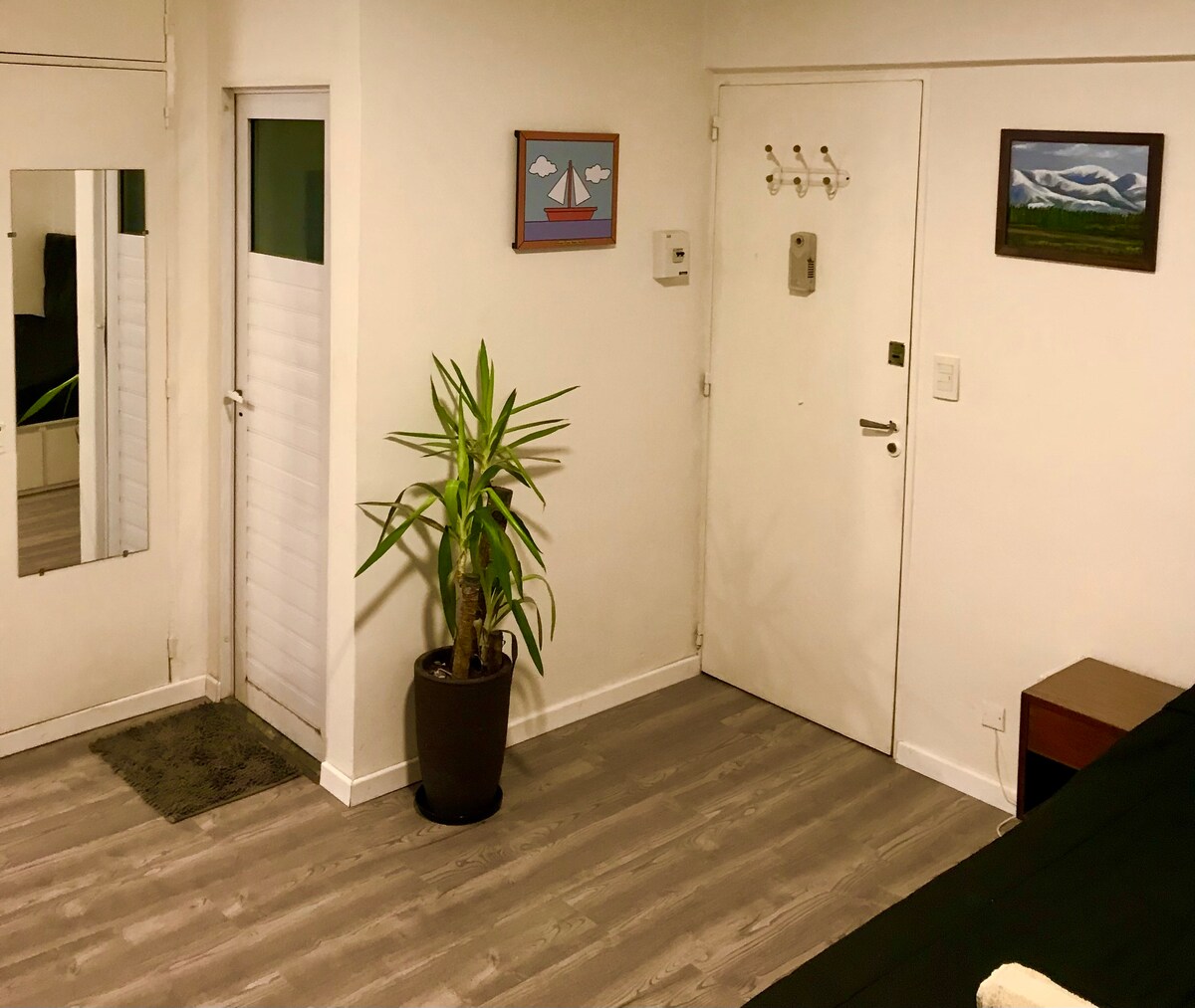 A modern living space features a potted plant in a corner next to the doorway. A full-length mirror reflects the light-colored walls, while a painting of mountains adds a touch of color. The floor showcases wooden planks, contributing to a homey ambiance.