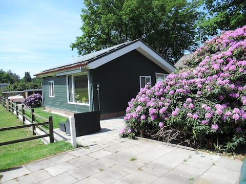 Cottage Jema,  on the edge of the forest of Hoenderloo