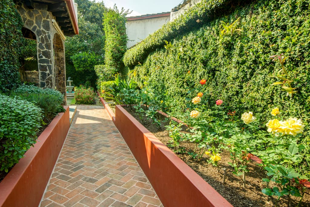 A spice garden & a rose garden greet you as you approach the house entrance.