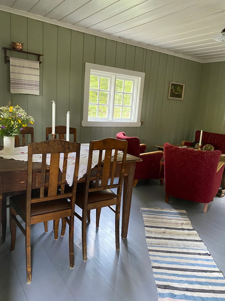 Hytte/seterbu I Sjarmerende Omgivelser - Kongsberg