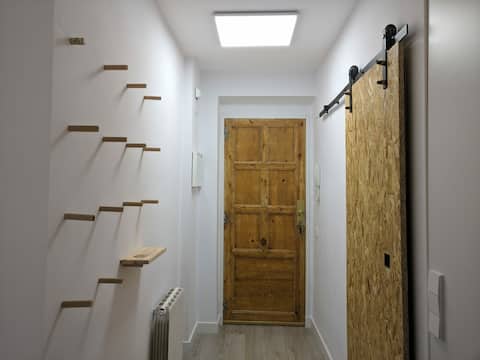Refurbished apartment in the city center