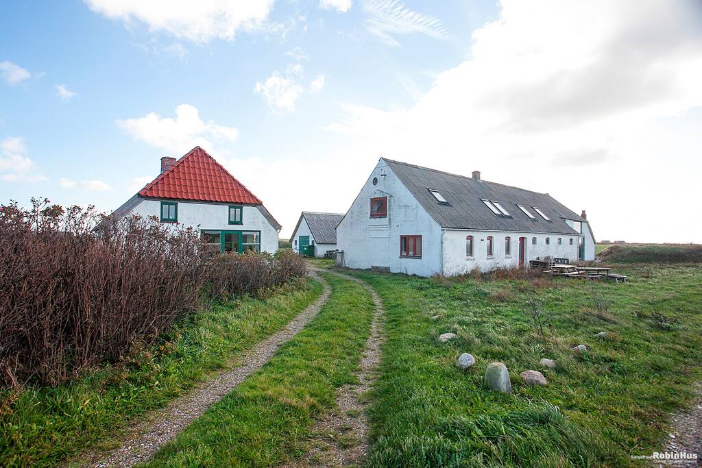 Lynghøj