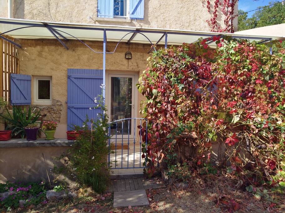 Terrasse RDC