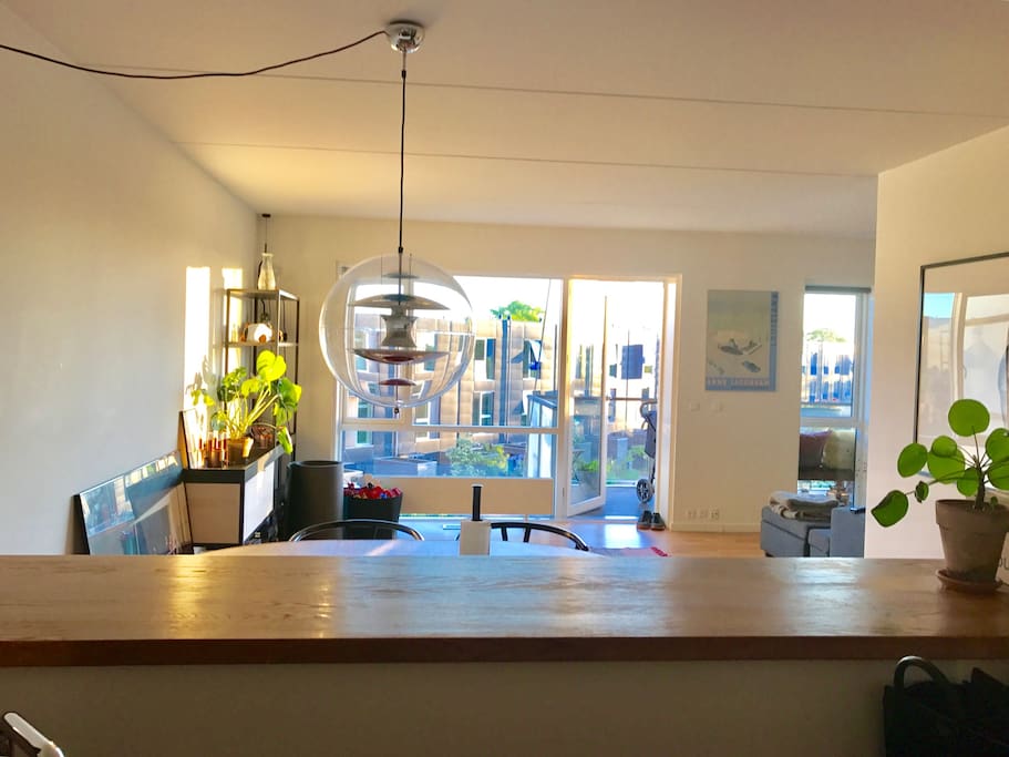 The view from the kitchen