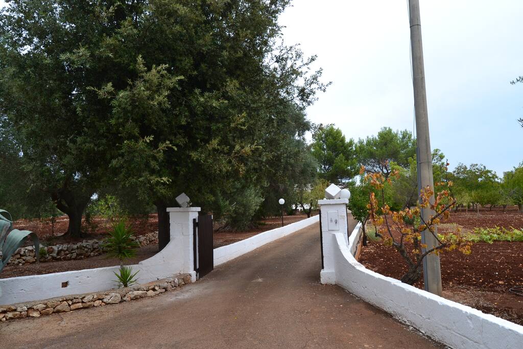Viale di ingresso