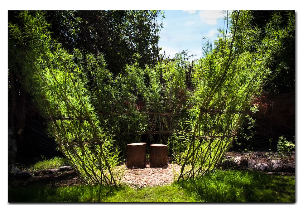 Discover the 'onion', edible topiary, the incredible stone staircase and more..
