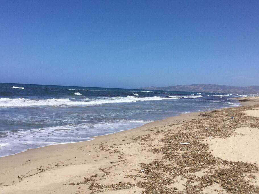 Km di spiaggia che si affaccia sul golfo dell'asinara