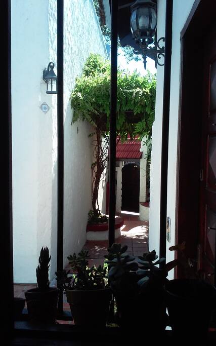 Vista al patio desde ventana de la cocina
