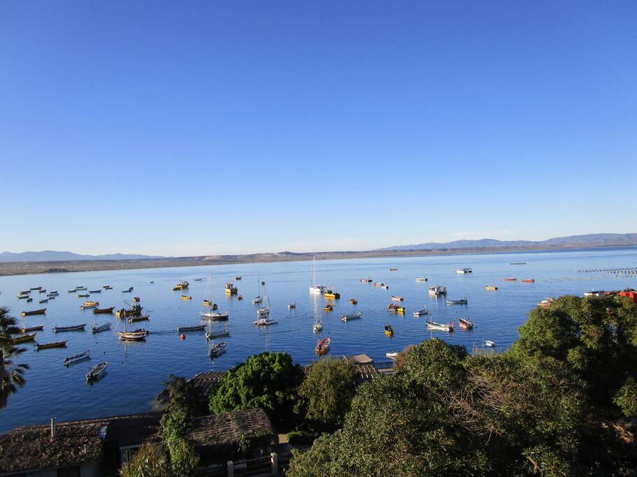 vista desde la casa.