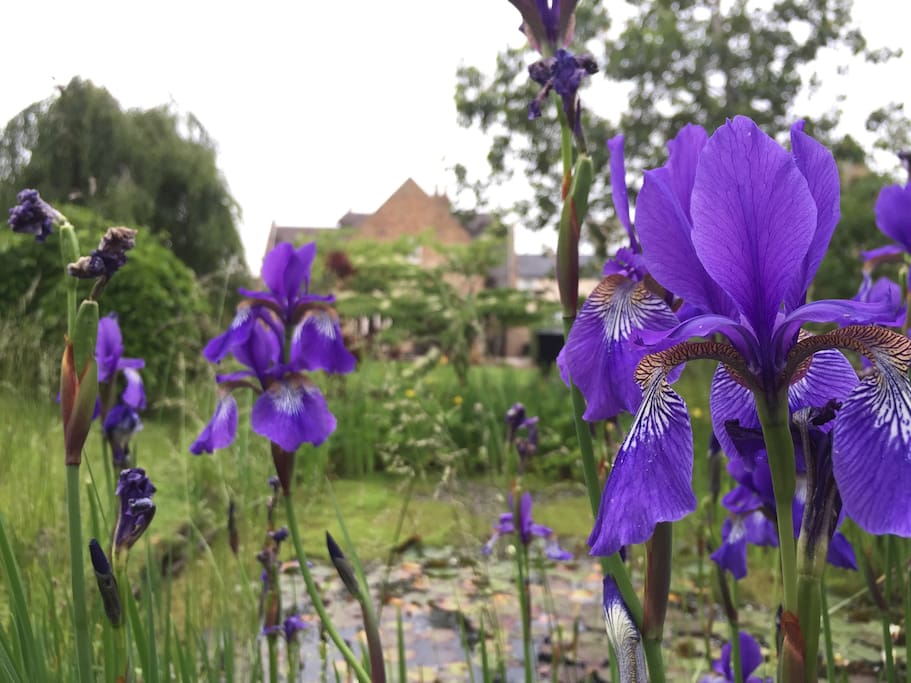 Mature gardens