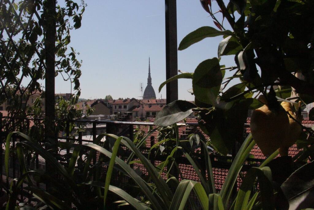 terrace