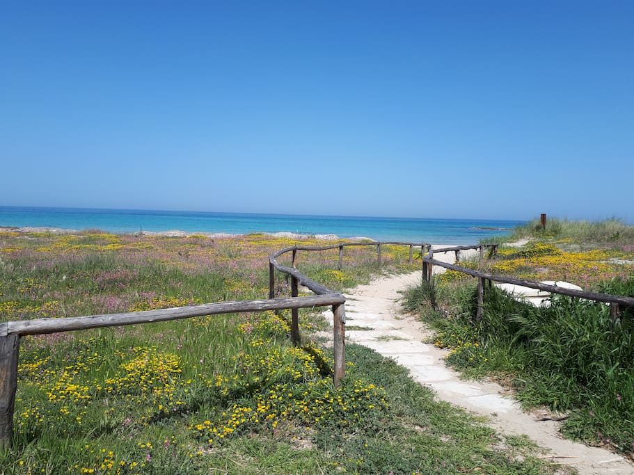 L'accesso al mare è garantito attraverso viali privati