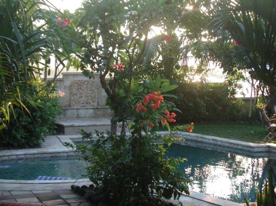 Your view of the pool from the living room, on a misty morning.