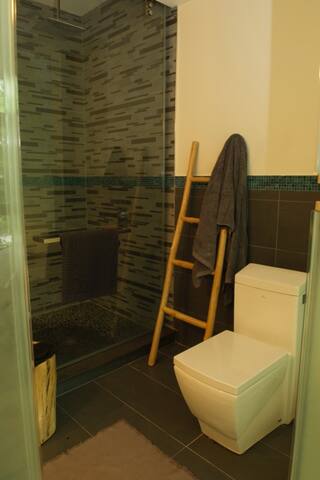 Modern Luxury Living in Historic Brooklyn gallery image 3