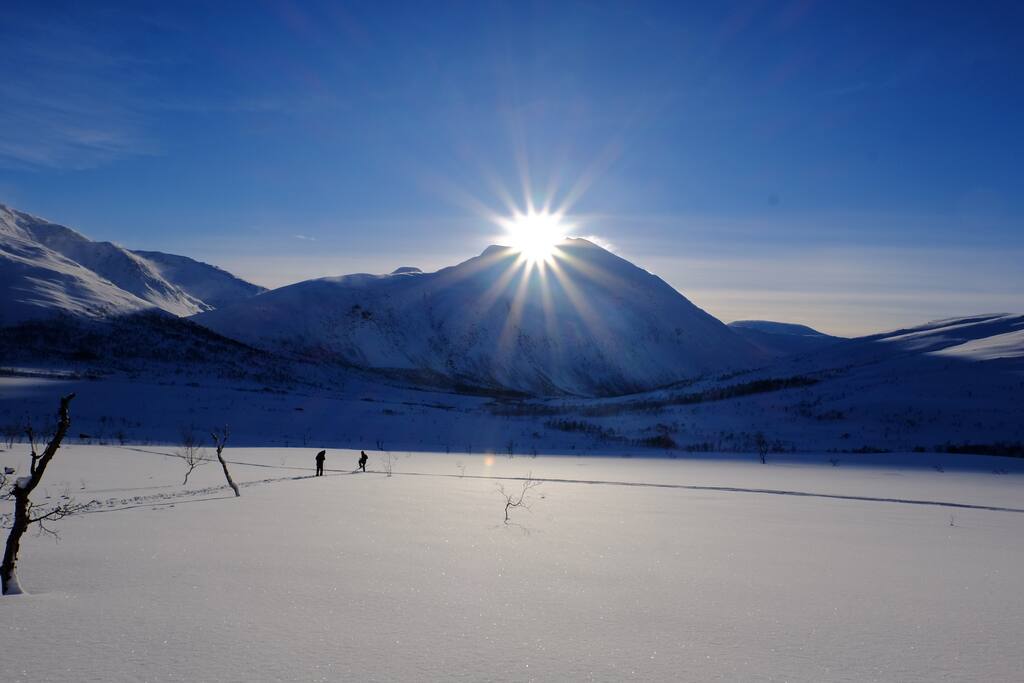 Wild, snow, sun, beautiful nature.