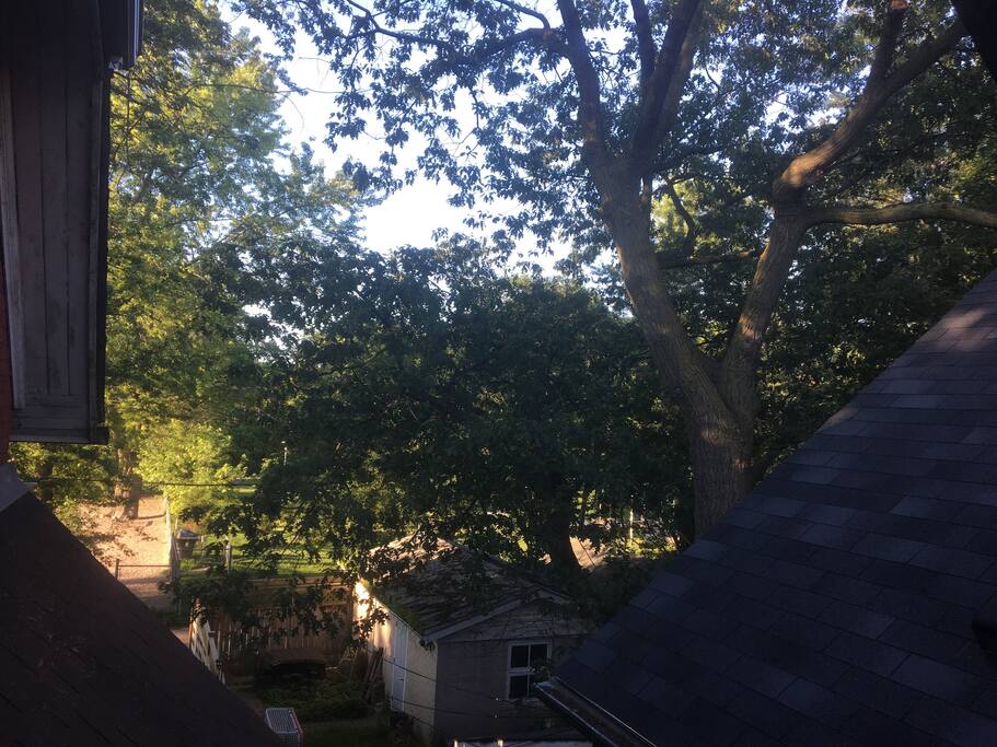 View to park from upstairs