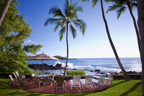 Dolphin Paradise
