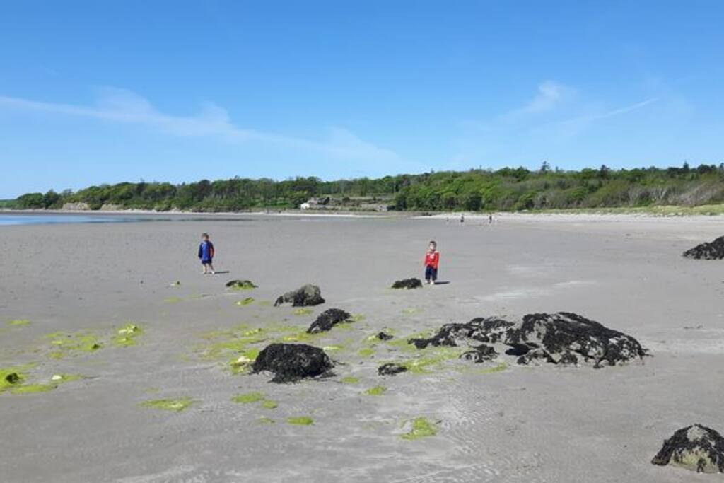 Lissadell Beach