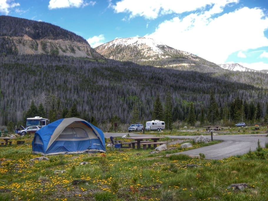 Enjoy the beauty of any campsite in the region!