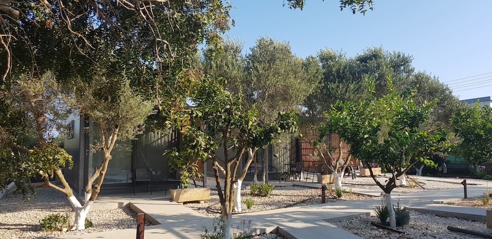 Airbnb Ayia Napa Ferienwohnungen Unterkunfte Famagusta