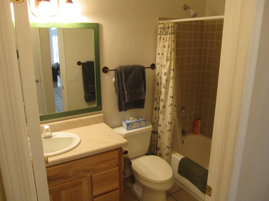 Downstairs bathroom