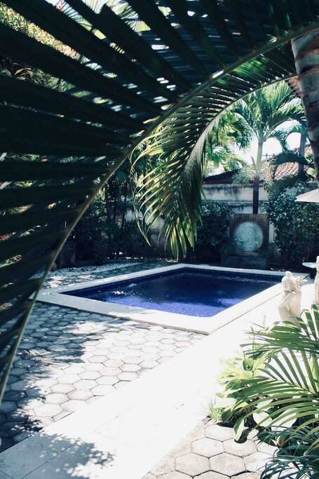 The private swimming pool