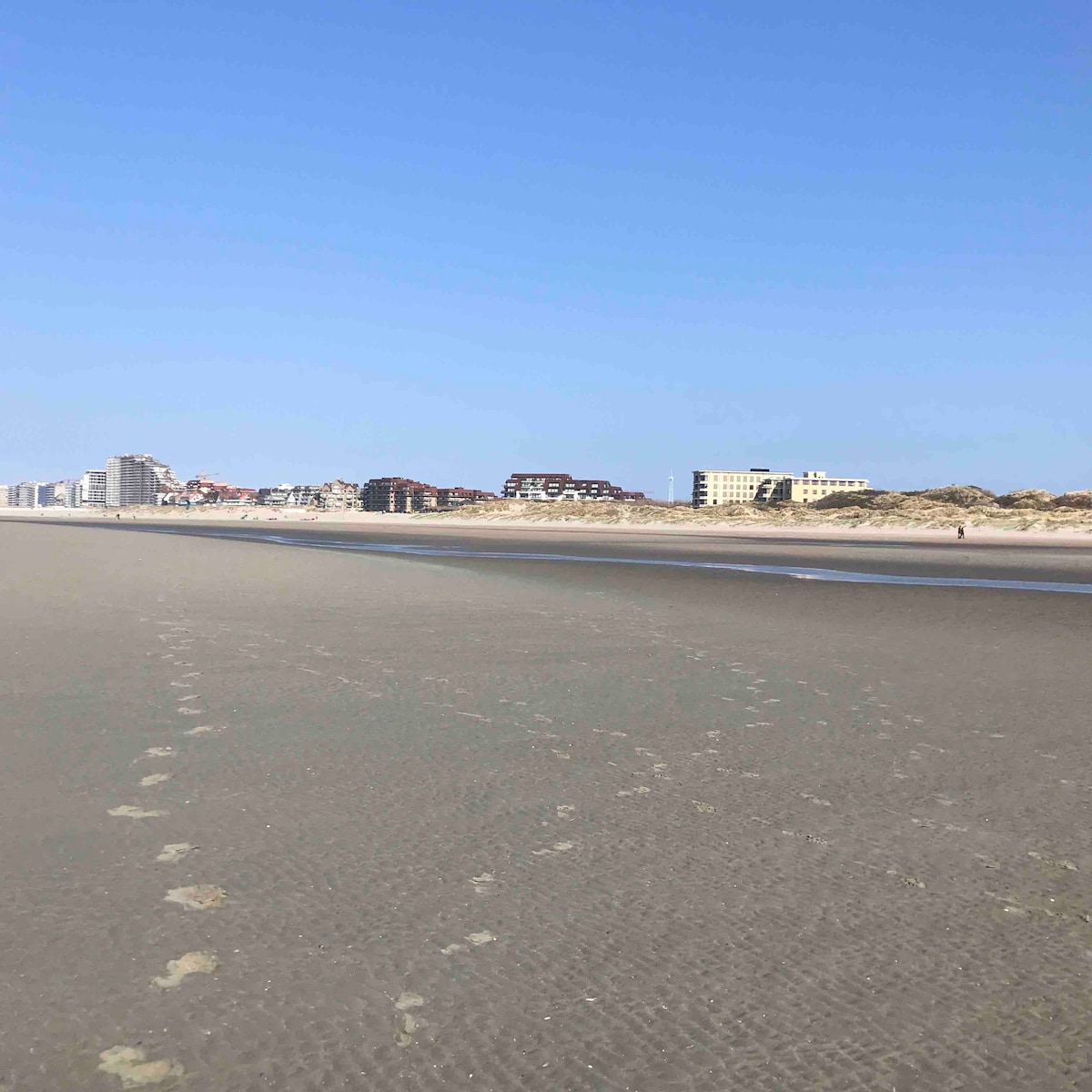 A vast sandy beach stretches under a clear blue sky, with gentle waves lapping at the shoreline. In the background, various buildings line the coast, showcasing a mix of modern architecture and residential styles, creating a tranquil seaside atmosphere.