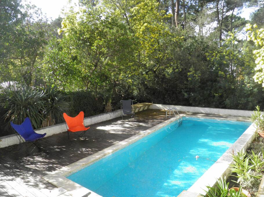 piscine plein sud arborée