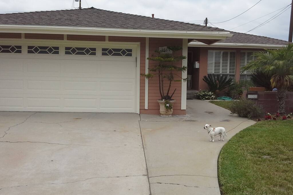 Front entry showing garage. Guest may park on the left side of the driveway.