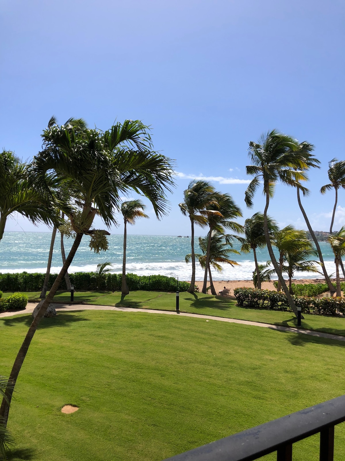 A view from the villa showcases a lush green lawn bordered by palm trees, leading to the ocean's waves. The bright blue sky complements the tranquil scene, while the beach is visible in the distance, enhancing the coastal ambiance.