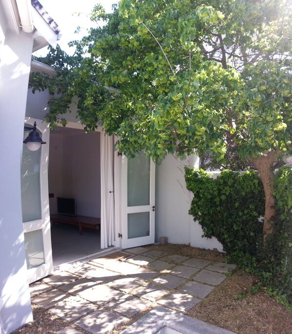 Front yard