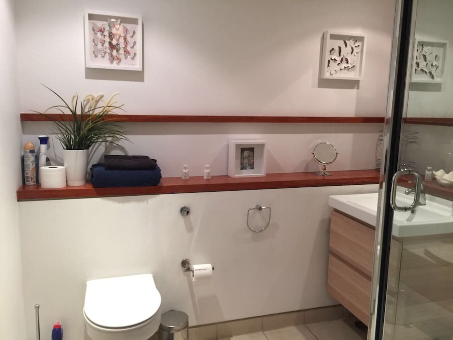 Private bathroom with WC