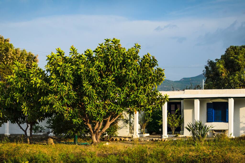 The Ecovilla
