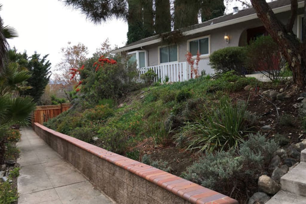 Front Yard pathway to Secluded Creek