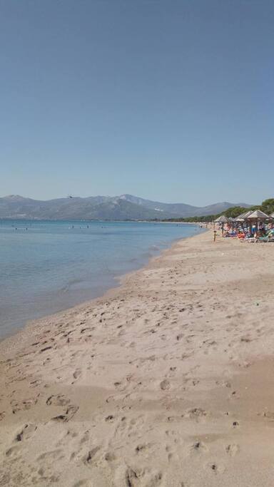Beach