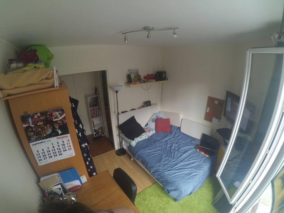 Living/bedroom