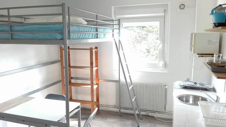 Bel Appartement Dans Quartier Calme - Lille, France