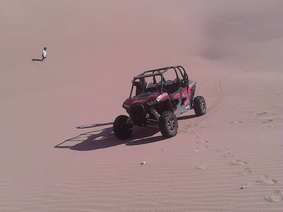 Drive your own dune buggy