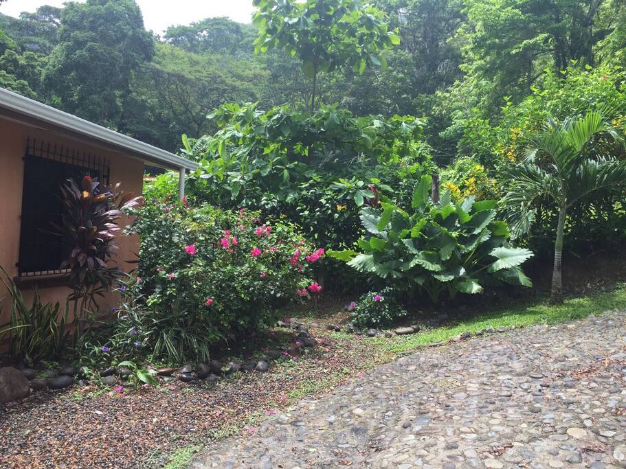 The plants grow so fast. We have to have a gardener to tame the yard jungle.