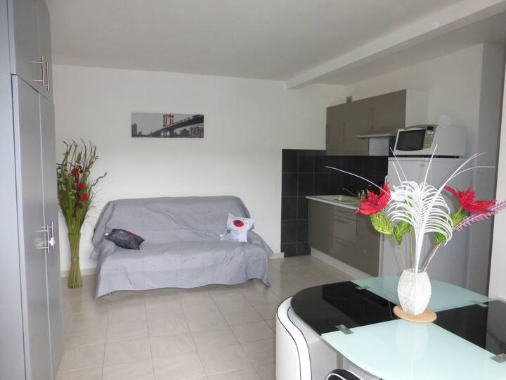 apartment la source