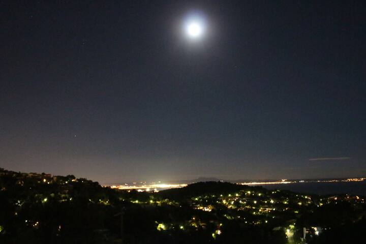 Villa Clausen – Pool Villa – Portals gallery image 5