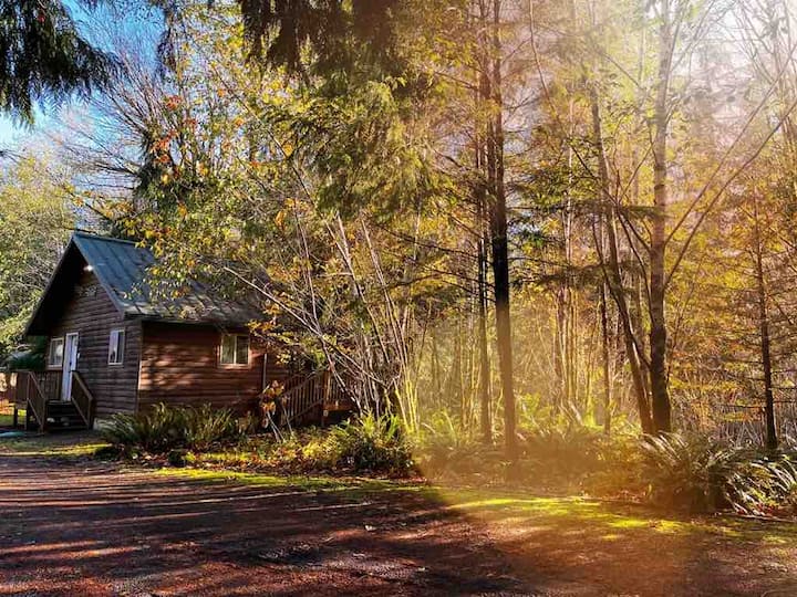 Olympic National Forest Cabins Accommodations