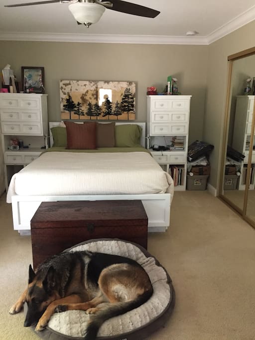 Master Bed - Shepard not included