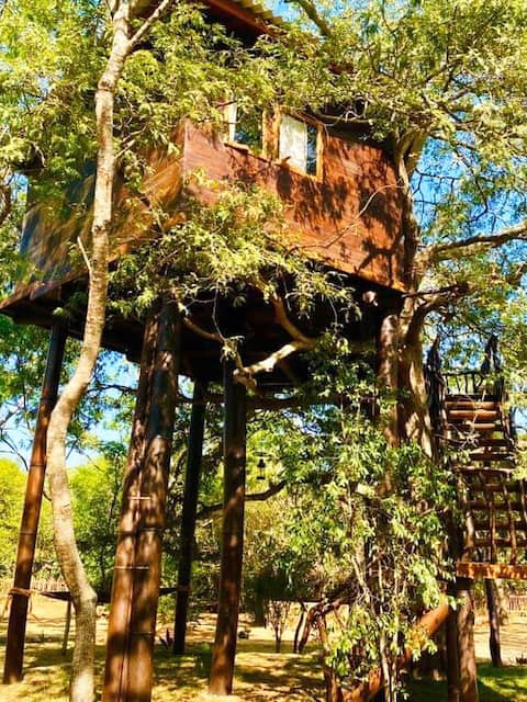 Dream Tree House -
Jaywa Lanka Resort Tangalle