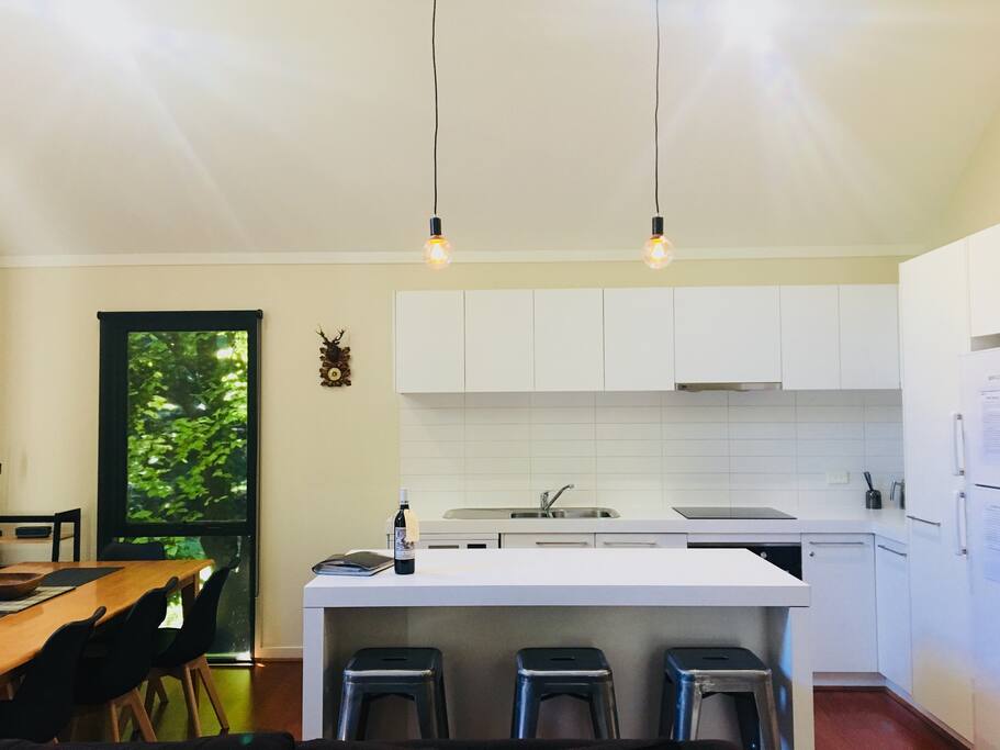 Modern well- equipped kitchen - plunger coffee, various teas, sugar provided