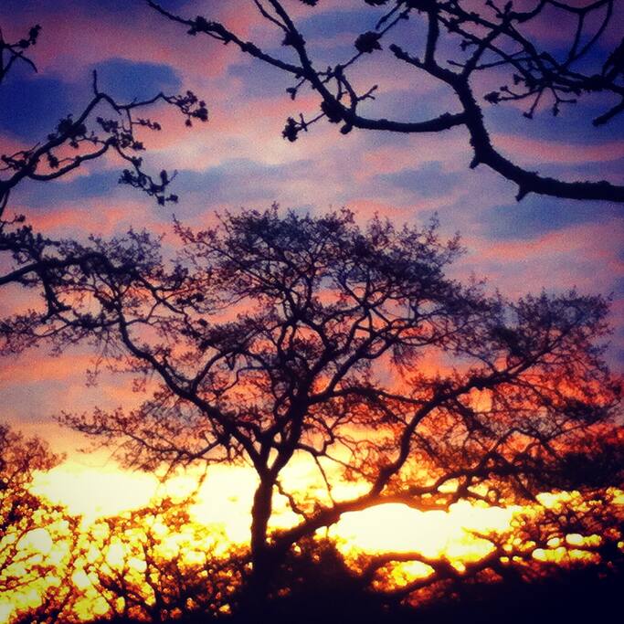 Oaklands neighbourhood at sunrise