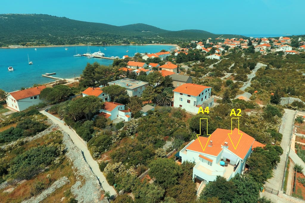 Bird's-eye view